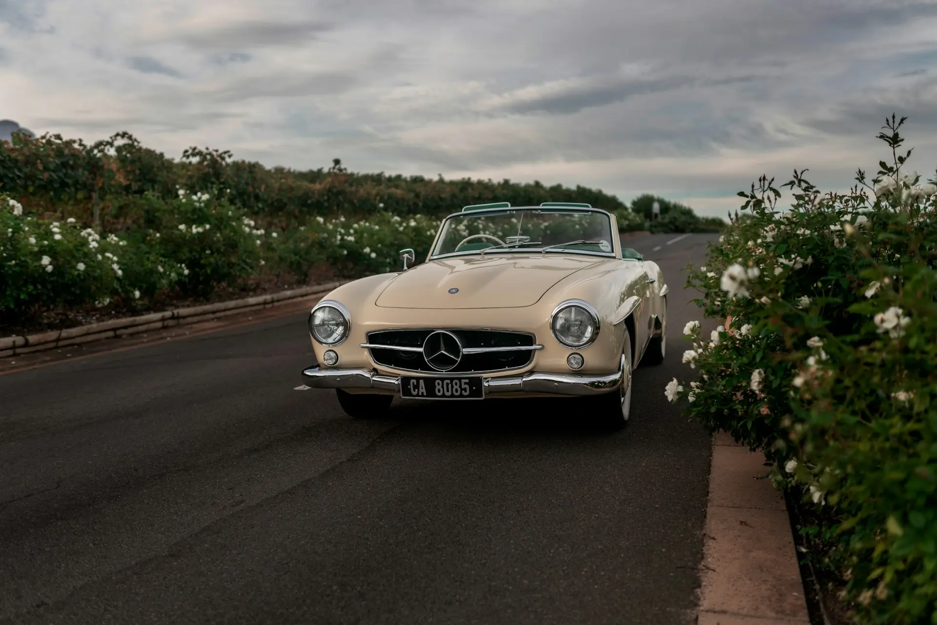 Cremefarbener Mercedes-Benz 190 SL fährt auf einer Landstraße zwischen blühenden Hecken