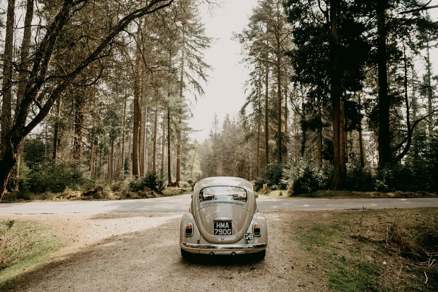VW Käfer auf einem Waldweg – typischer Kandidat für das H-Kennzeichen